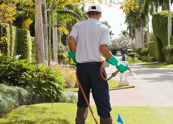 About Dodge NE Pest Control